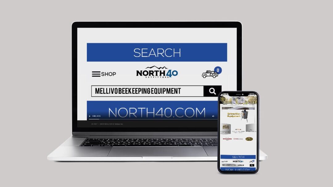 Mellivo Website Design and Development