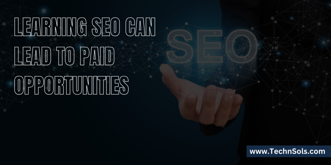 Learn SEO And Get Paid: The Complete Guide for Beginners